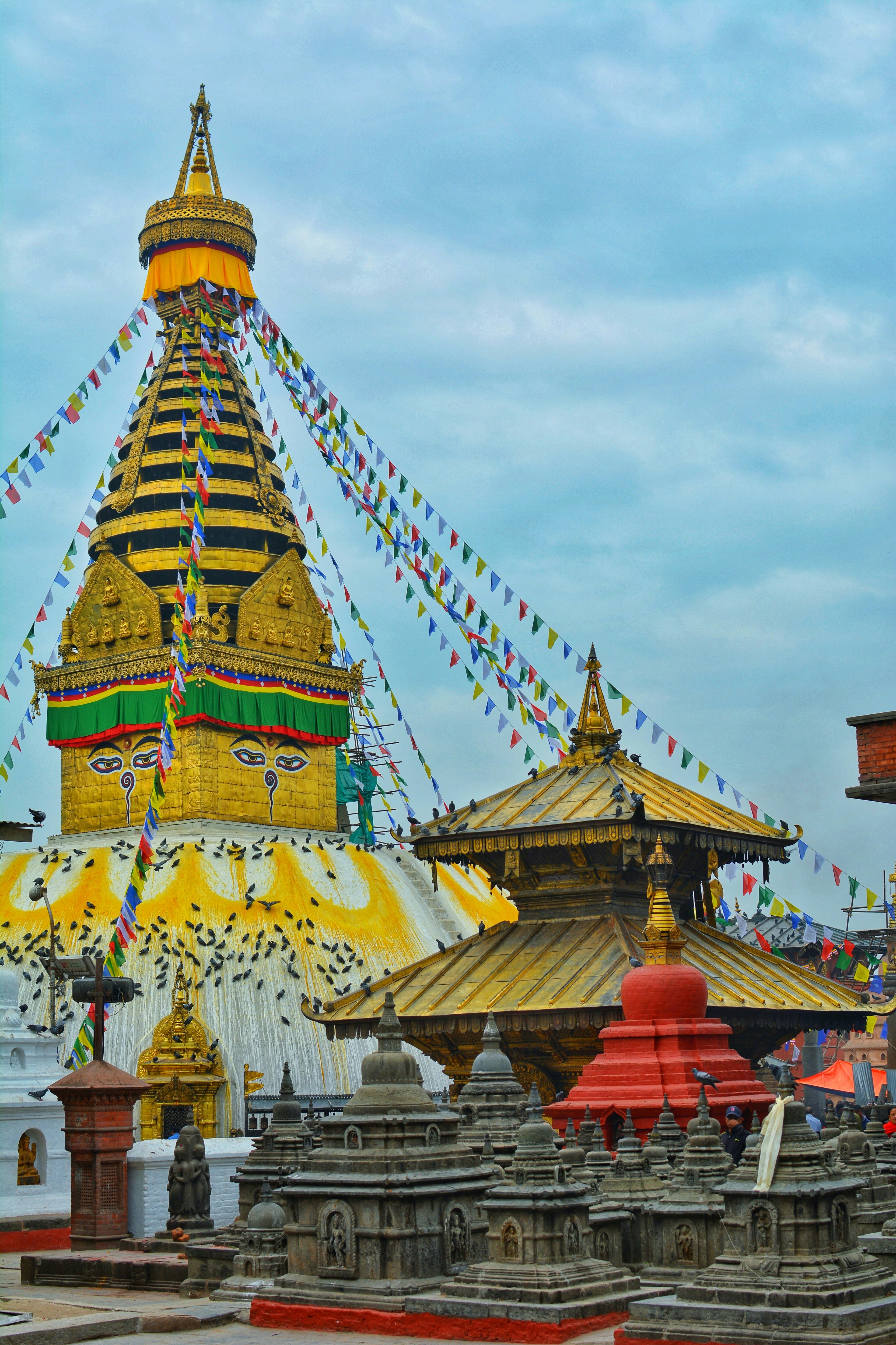 Journey Through Nepal