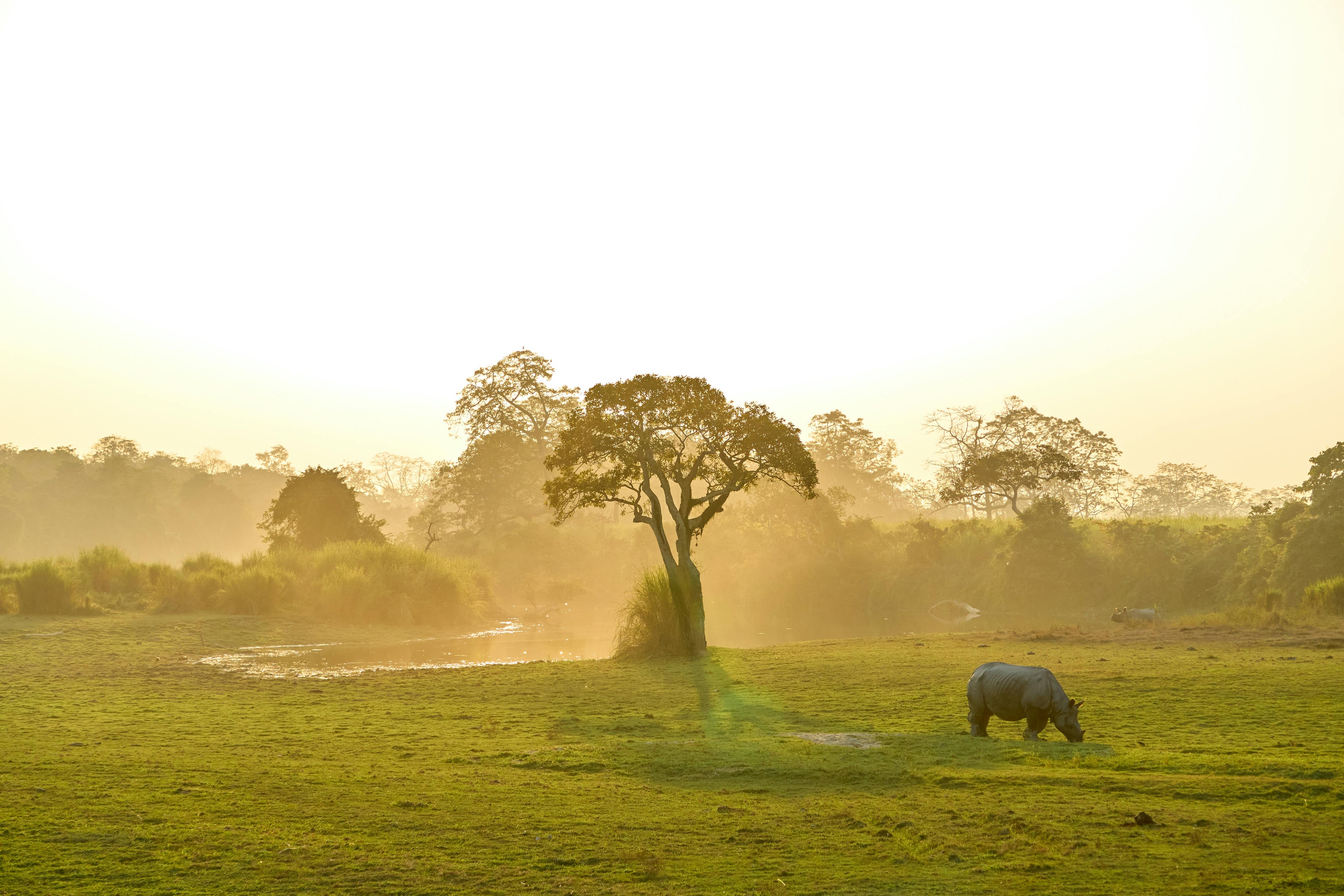 Assam and Meghalaya